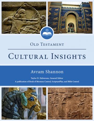 Cover of Old Testament Cultural Insights by Avram Shannon