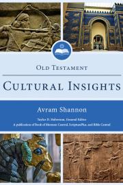 Cover of Old Testament Cultural Insights by Avram Shannon