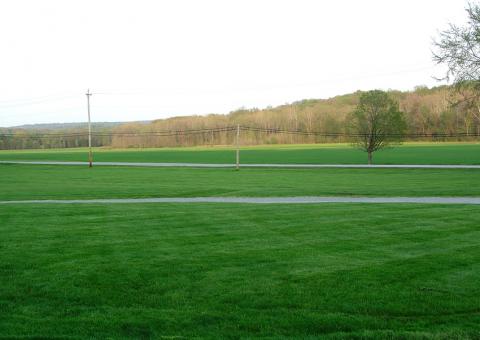 Field that was once part of the Isaac Morley farm, taken in 2005.
