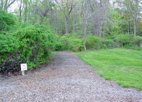 Path on what was once the Isaac Morley farm, taken in 2005.