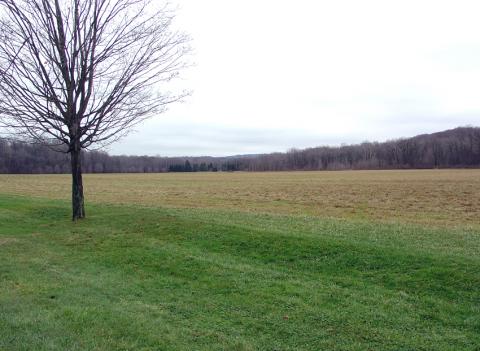 Field that was once the Morley Farm, taken in 2006.
