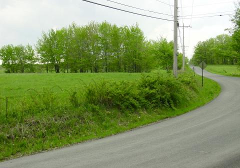 Land that was once part of the Leman Copley farm, in Thompson, Ohio, now Madison Township. Taken in 2006.