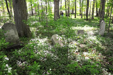 Leman Copley's family cemetery. Taken in 2008.